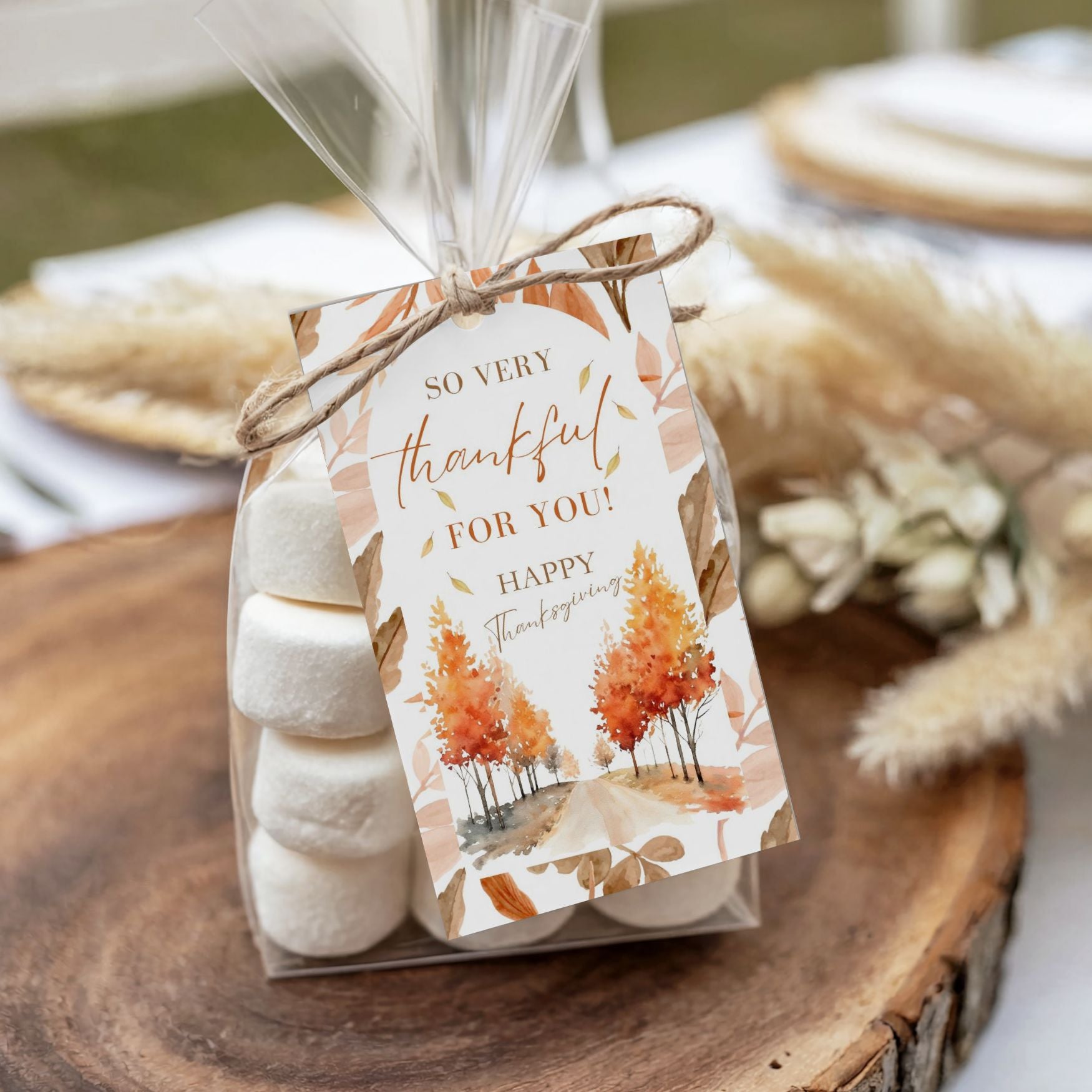 Packaged marshmallows with a 'Thanksgiving' tag on a wooden surface