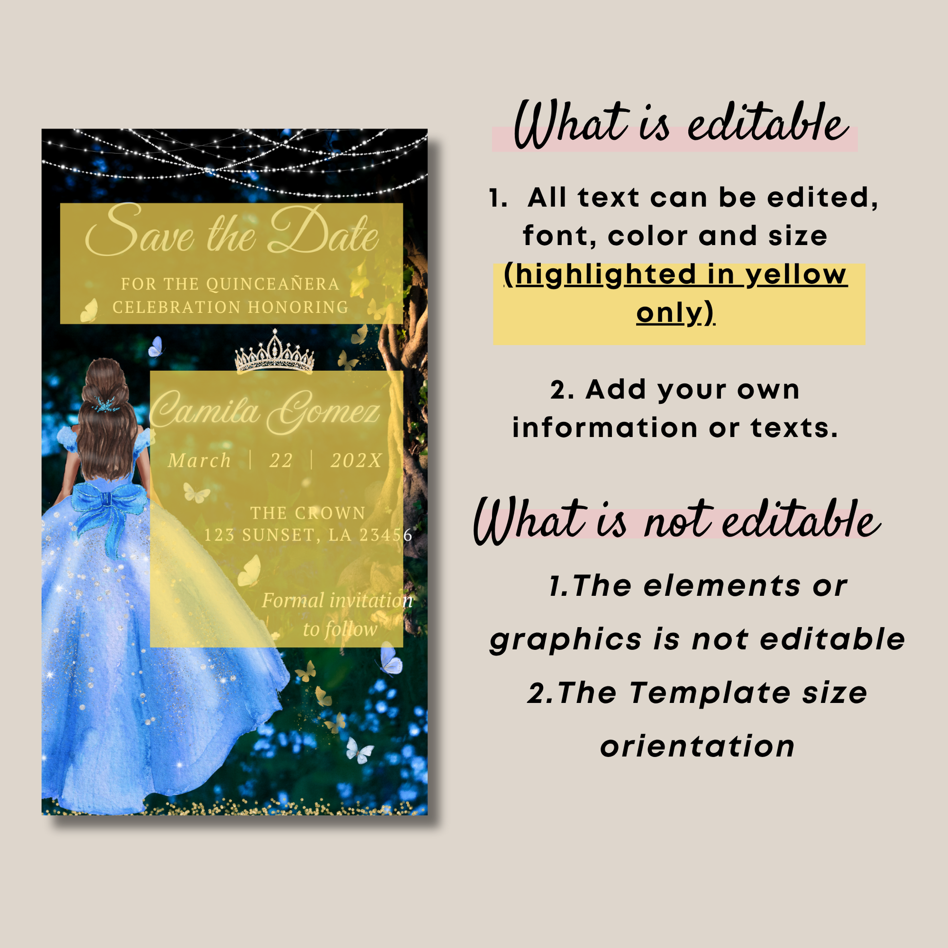 Editable Quinceañera Invite