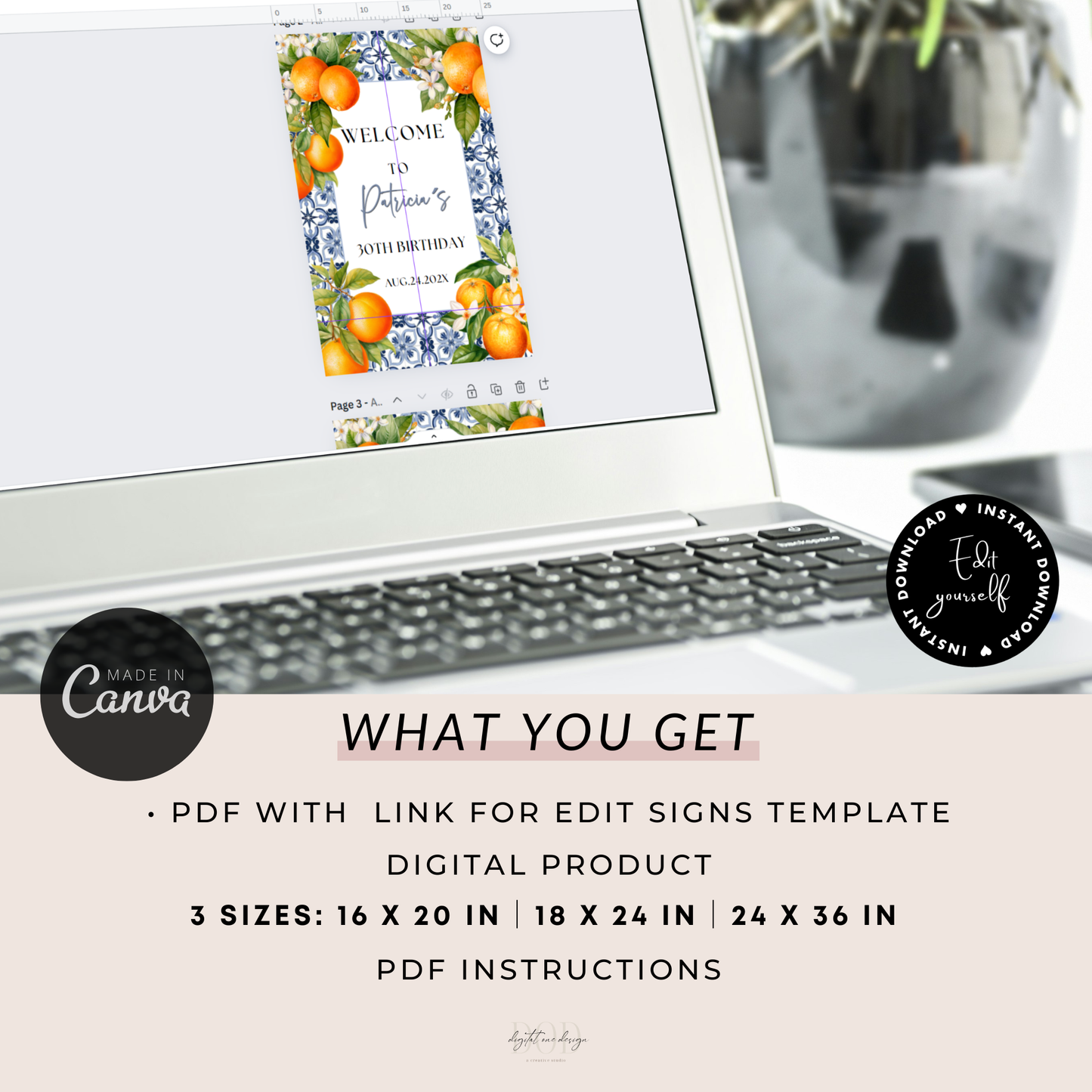 Mediterranean Citrus Birthday Welcome Sign Template on a laptop screen with editing instructions and size options.